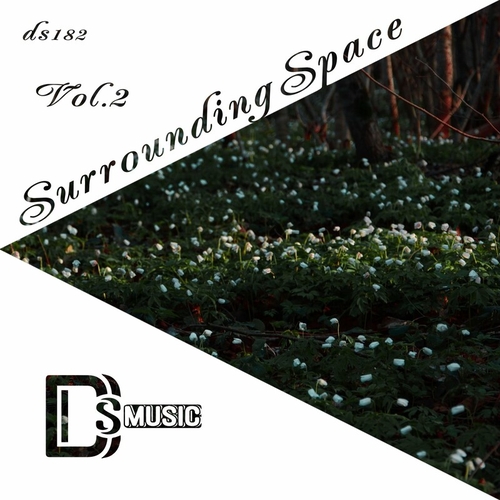 VA - Surrounding Space, Vol. 2 [DS182]